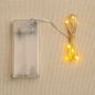 Copper wire string fairy lights with warm white 30 LED bulbs glowing beautifully.