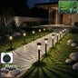 Solar powered lawn pathway light set illuminating garden pathway